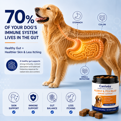 Canivéa™ Skin & Coat Chews
